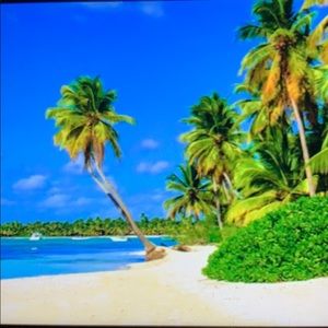 Meet your Posher, Eaphie